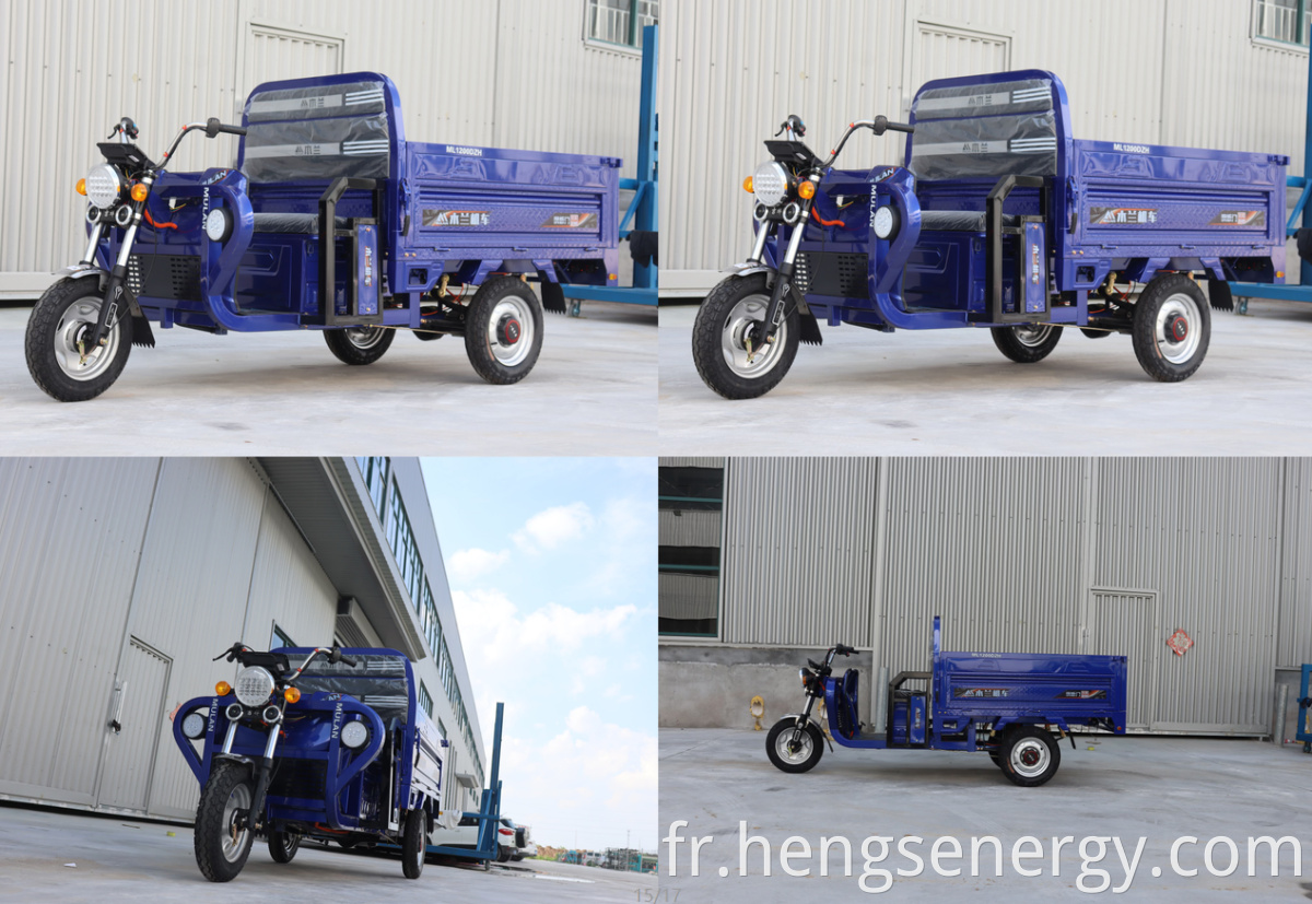 eec cargo tricycle